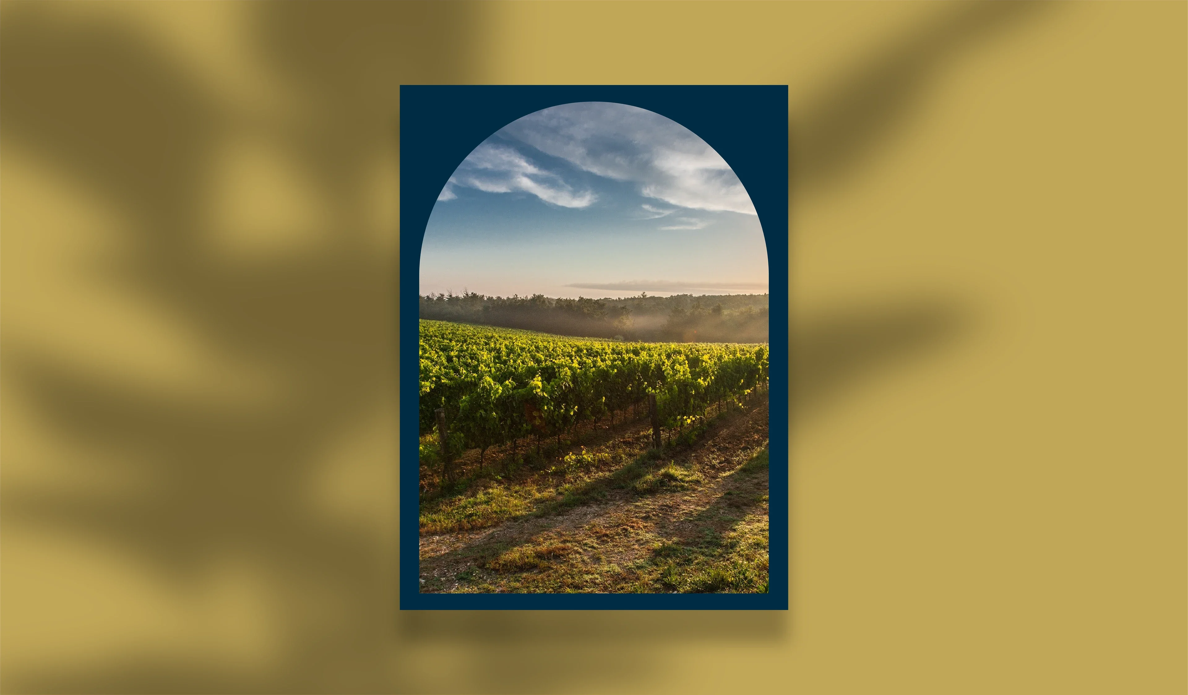 La Bastide des Songes - Vignoble en Luberon