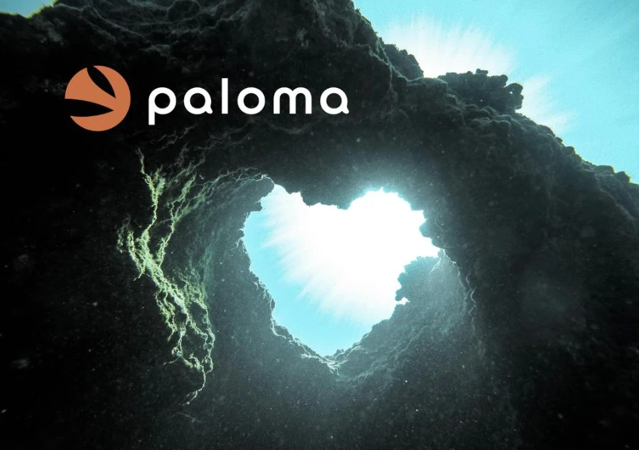 Paloma - Vision finale